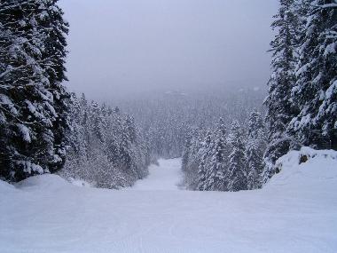 Ferienwohnung in Borovets (Smolyan) oder Ferienwohnung oder Ferienhaus