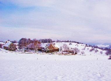 Winter auf dem Katzenstein