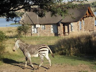 Chalet in Kroonstad (Free State) oder Ferienwohnung oder Ferienhaus