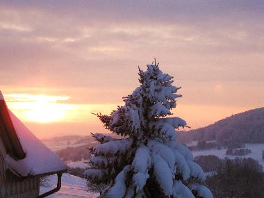 Blick aus dem Fenster der Rh�nstube
