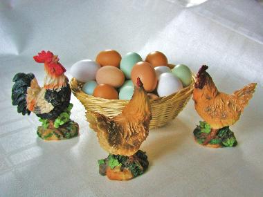 Bei uns ist jeden Tag Ostern - unser Eiersortiment