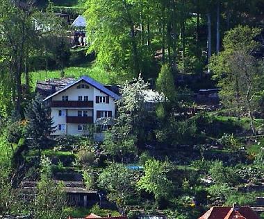 Unser sch�nes Ferienhaus im gro�en Naturgarten