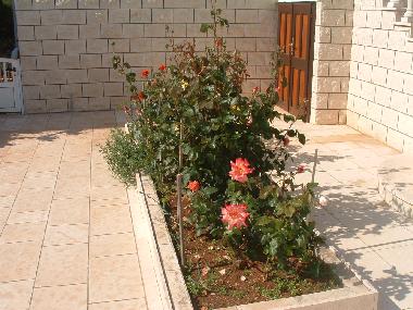 Ferienwohnung in Stari Grad (Splitsko-Dalmatinska) oder Ferienwohnung oder Ferienhaus