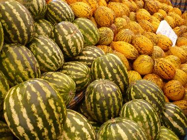 ...und gesunder auch nicht...