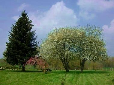 Fr�hling in La Maison Bienvenue - Garten 2000m �