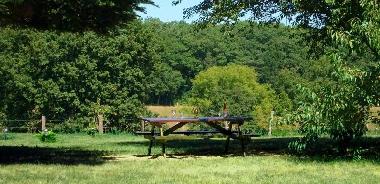 Garten 2000m�