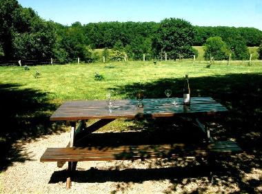 Garten 2000m�