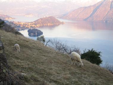 Ferienhaus in Colonno (Como) oder Ferienwohnung oder Ferienhaus