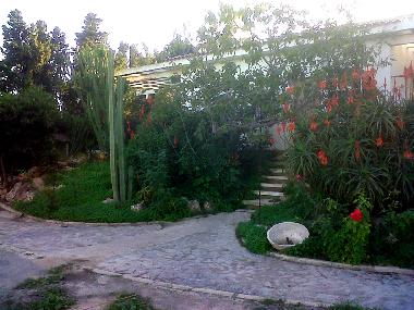 Ferienhaus in alicante (Alicante / Alacant) oder Ferienwohnung oder Ferienhaus