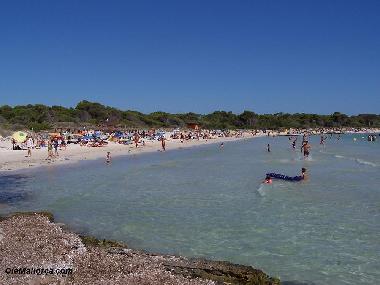 Ferienwohnung in colonia san jordi (Mallorca) oder Ferienwohnung oder Ferienhaus
