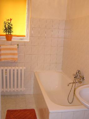 Ferienwohnung in Marienbad (Karlovarsky Kraj) oder Ferienwohnung oder Ferienhaus