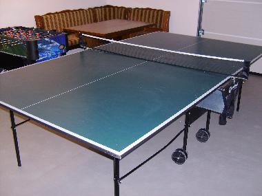 Tischtennis im Garage