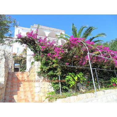Ferienwohnung in Potocnica (Zadarska) oder Ferienwohnung oder Ferienhaus