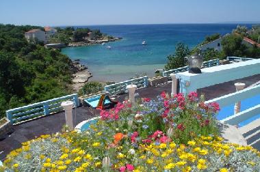 Pension in Lile Pag Novalja  (Licko-Senjska) oder Ferienwohnung oder Ferienhaus