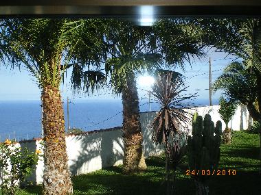 Blick-aus dem K�chen Fenster.
