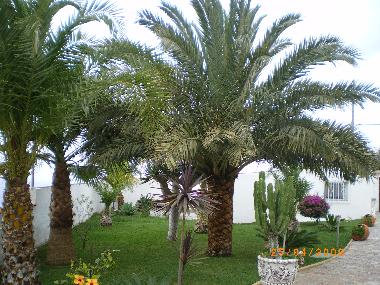 Garten.