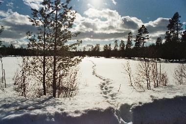 eisangeln schwedenhaus am see ferienhaus