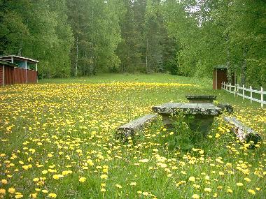 tanzbhne und live musik schleppangeln trolling auf hecht und zander schwedenhaus mieten 04323805788