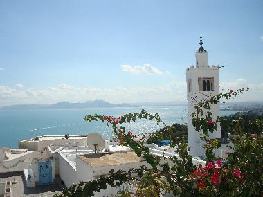 Pension in sidi bou said (Tunis) oder Ferienwohnung oder Ferienhaus