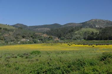 Chalet in sonega (Alentejo Litoral) oder Ferienwohnung oder Ferienhaus