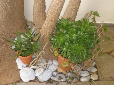 Ferienwohnung in KOKKINI HANI (Irakleio) oder Ferienwohnung oder Ferienhaus