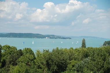 Blick auf den See: Ein echtes SEGELPARADIES!