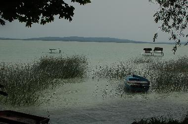 Typisches freies Balatonufer: romantisch-gem�tlich! 