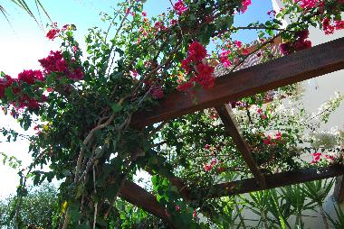 Ferienhaus in HERAKLION (Irakleio) oder Ferienwohnung oder Ferienhaus