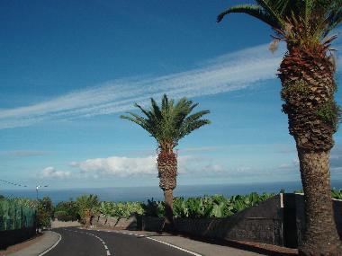 Ferienhaus in La Orotava (Teneriffa) oder Ferienwohnung oder Ferienhaus