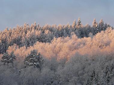 Ferienhaus in Croze (Creuse) oder Ferienwohnung oder Ferienhaus