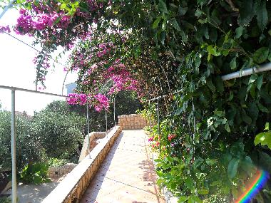 Ferienwohnung in Potocnica (Zadarska) oder Ferienwohnung oder Ferienhaus