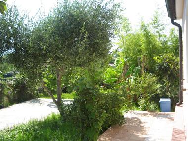 Ferienhaus in Tortol� (Ogliastra) oder Ferienwohnung oder Ferienhaus
