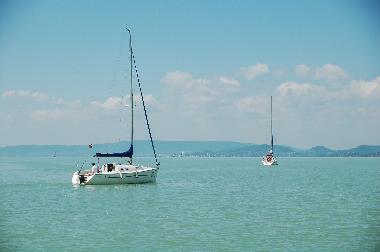 Ferienhaus in Balatonbereny (Somogy) oder Ferienwohnung oder Ferienhaus
