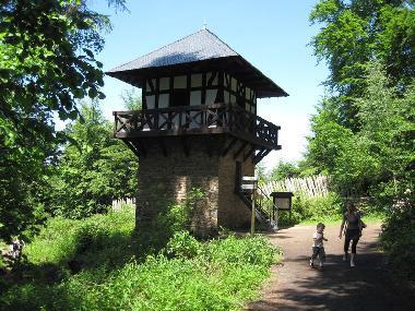 Limes - Rmische Turm