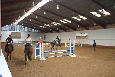 Reitunterricht in einer unserer Reithallen im Reitsportzentrum Seeland,im Ferienpark Aparthotel Seel