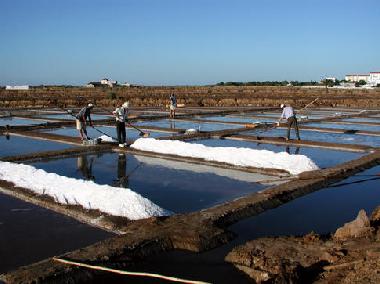 Ferienwohnung in Cabanas de Tavira (Algarve) oder Ferienwohnung oder Ferienhaus