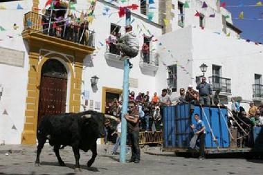 Ferienwohnung in Vejer de la Frontera (Cdiz) oder Ferienwohnung oder Ferienhaus