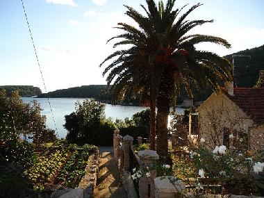 Villa in Molunat (Dubrovacko-Neretvanska) oder Ferienwohnung oder Ferienhaus