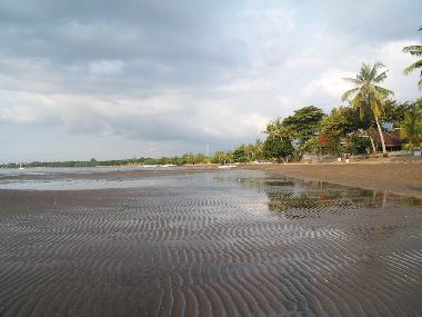 Villa in Dencarik (Bali) oder Ferienwohnung oder Ferienhaus