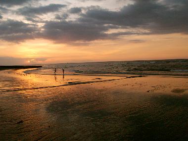 Villa in Dencarik (Bali) oder Ferienwohnung oder Ferienhaus