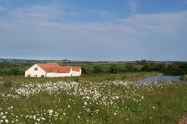Ferienhaus in Horncastle (Lincolnshire) oder Ferienwohnung oder Ferienhaus