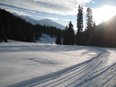Langlaufen