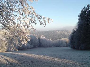Ferienwohnung in Grafenwiesen (Oberpfalz) oder Ferienwohnung oder Ferienhaus