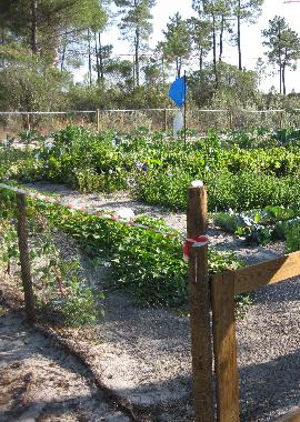 Bio-Gem�se Garten