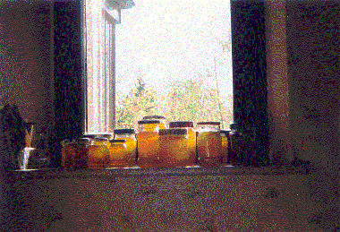 Wenn die bienchen flei�ig waren, gibt es fl�ssiges Gold von Mai - Juli !