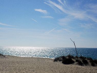 Carvalhal Strand in Hochsommer 