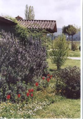 Villa in Cortona Mercatale (Arezzo) oder Ferienwohnung oder Ferienhaus