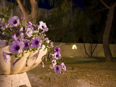 Ferienhaus in Chania (Chania) oder Ferienwohnung oder Ferienhaus