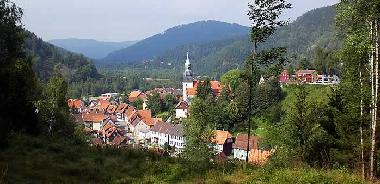 Ferienhaus in Langelsheim-Lautenthal (Harz) oder Ferienwohnung oder Ferienhaus