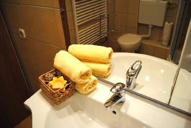 Ferienwohnung in Zagreb (Grad Zagreb) oder Ferienwohnung oder Ferienhaus